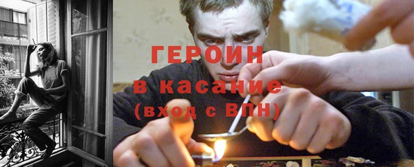 индика Бронницы